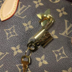 Louis Vuitton Flower Tote M43551 Brown